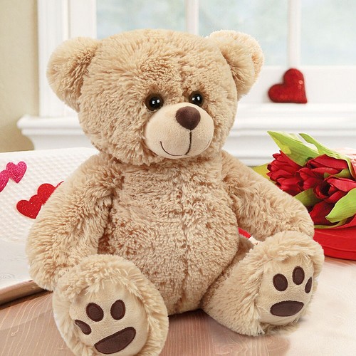 Peluche morbido orsacchiotto