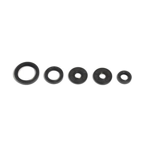 Paraoli motore athena bmw - motore,