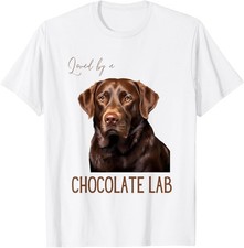 Loved By A Chocolate Lab