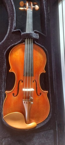 Violino artigianale - violino,
