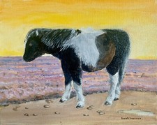 Moorland Pony David Laurence