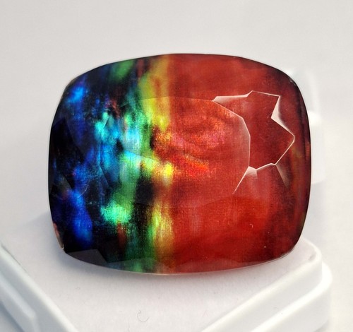 Ammolite biologica opale