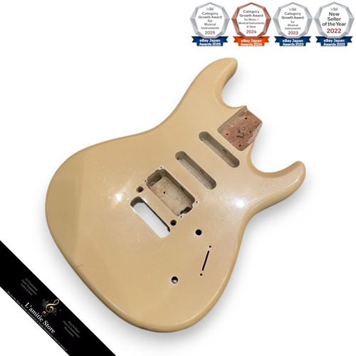 Corpo chitarra elettrica - , aria