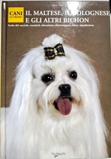 Libro IL maltese, il bolognese