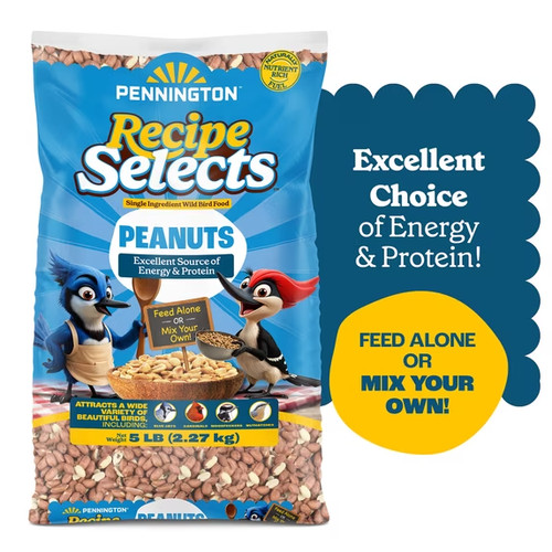 Pennington peanuts shelled - peanuts,