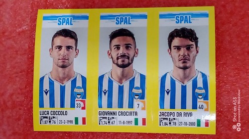 Figurine calciatori panini - figurine,