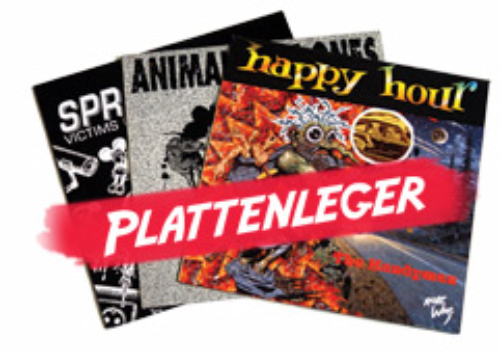 Plattenleger lp - 3, x