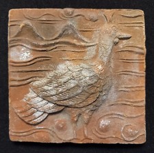 Spettacolare piastrella pavone