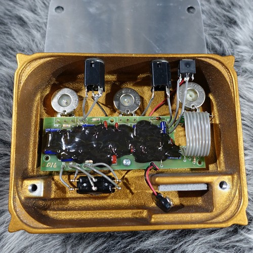 Klon centauro oro coda corta - klon,