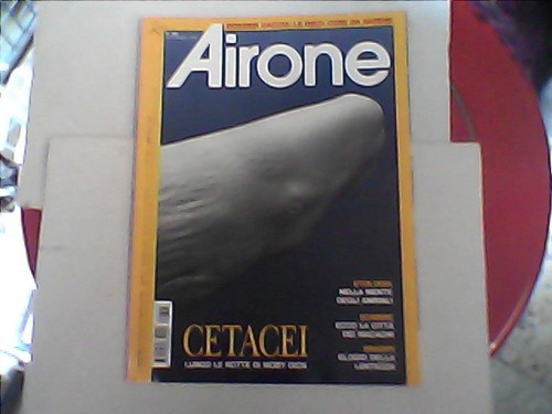 Airone 305 2006 - n.,