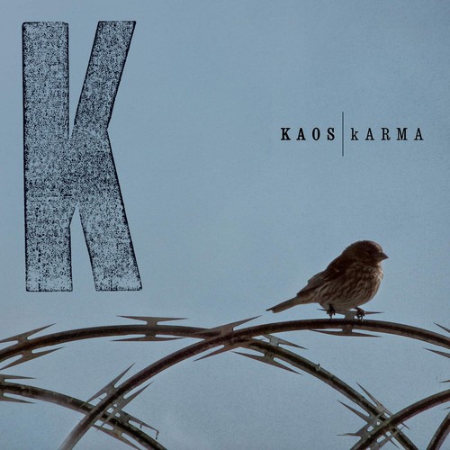 Karma kaos - karma, (vinyl)