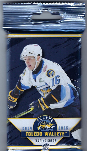 2024 toledo walleye - toledo, (echl)