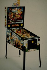 Dia I Simpson Flipper Flipper