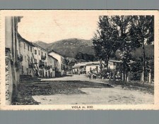 Cuneo Viola m. 830 centro