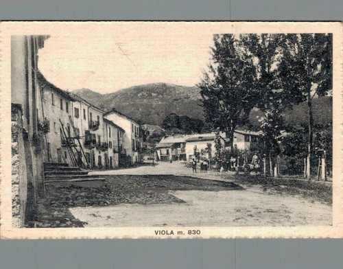 Cuneo viola 830 - cuneo, m.