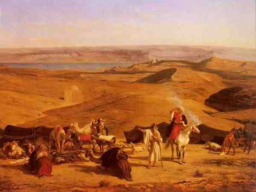 Pasini alberto accampamento - pasini,