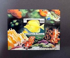 Guinea 1997 - Pesci Coralli (Zebrasoma flavescens) Blocco MNH Ottimo!