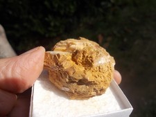 MINERALI R6 Parisite - Montana