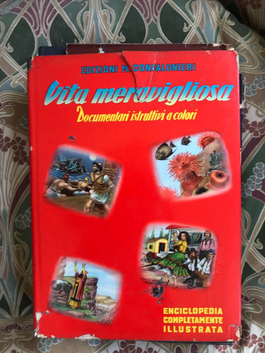 Vita meravigliosa - vita,
