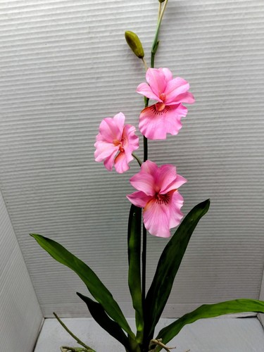 Pianta orchidea artificiale - pianta,