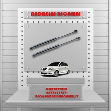 2 MOLLE A GAS BAGAGLIAIO