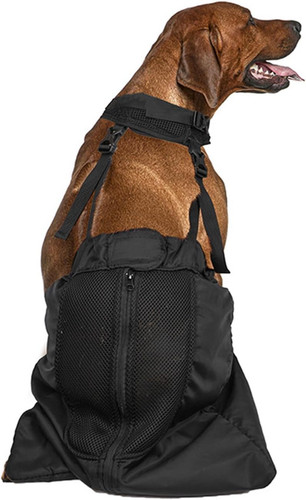 Borsa cani per gambe - borsa,
