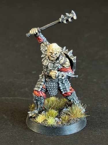 Warhammer lotr mesbg - warhammer, pro