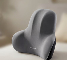 Multifunctional Lumbar Memory