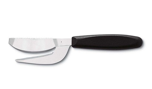 Coltello squamapesce per