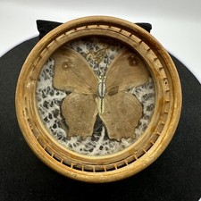 Vintage farfalla tassidermia drink bar bambù sottobicchiere pizzo boho cabina anni 70 retrò CARINO