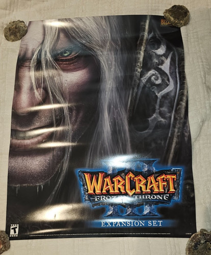 Blizzard warcraft poster - warcraft,