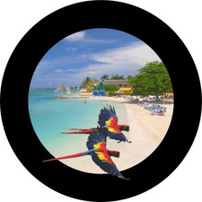 PARROT FLYING IN PARADISE tire