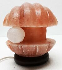 Lampada di sale Ostrica dell' Himalaya salgemma con certificato di garanzia