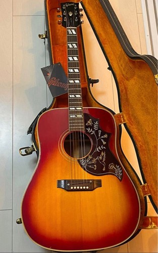Gibson colibrì 1969 - colibrì,