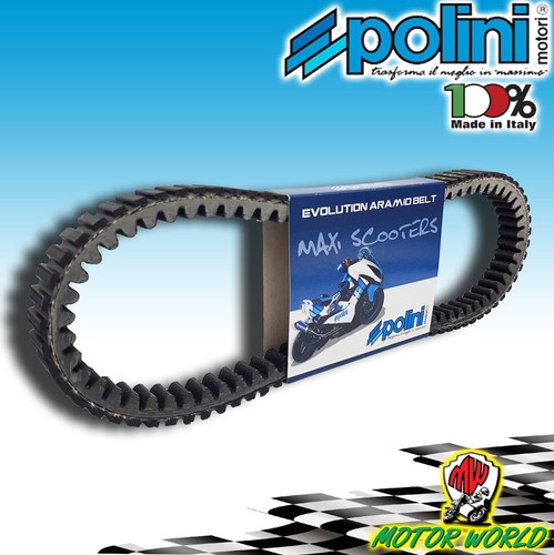 Cinghia trasmissione polini - trasmissione,