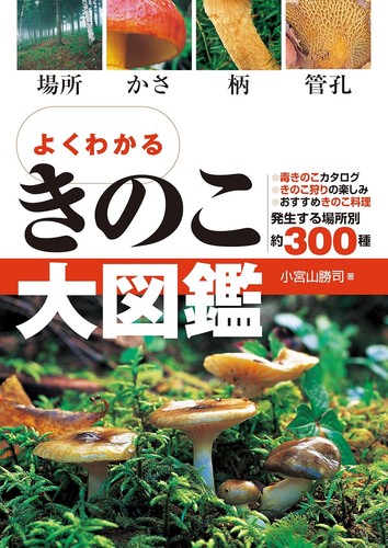 Easy understand mushroom - easy,