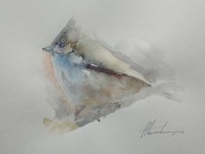 Titmouse, uccellini, opera