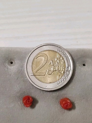 Orecchini argento corallo a - argento,