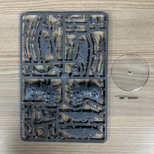 1 Plague Drone Di Nurgle