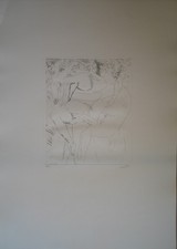 Bruno SAETTI, Acquaforte cm