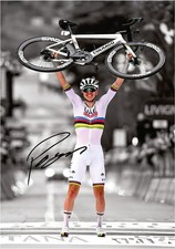 Poster Tadej Pogacar Colnago