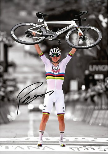 Poster tadej pogacar colnago - poster,