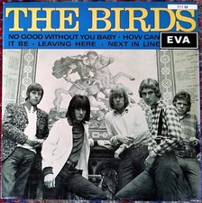 THE BIRDS*NO GOOD WITHOUT YOU