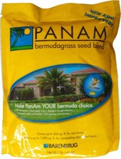 Semi di erba Panama Bermuda -