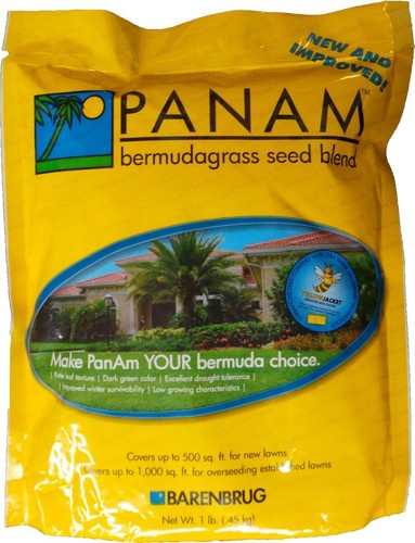 Semi erba panama bermuda - semi,