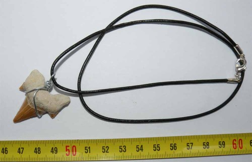 Collana pendente dente - pendente, di