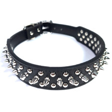 Collari per cani con borchie a