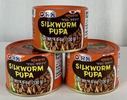 Yoo dong pupa baco seta - yoo,