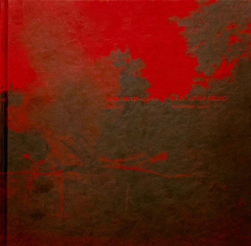Burn after seeing hardback - burn,