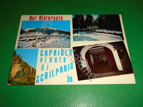 Cartolina pineta schilpario - cartolina,